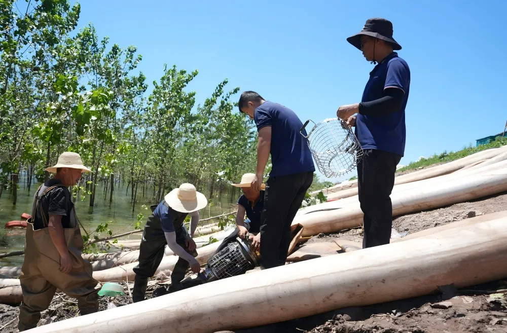 На объекте установлен насос Dewater QQ.